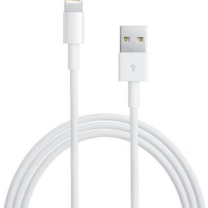 Apple Lightning to USB Cable (2m)