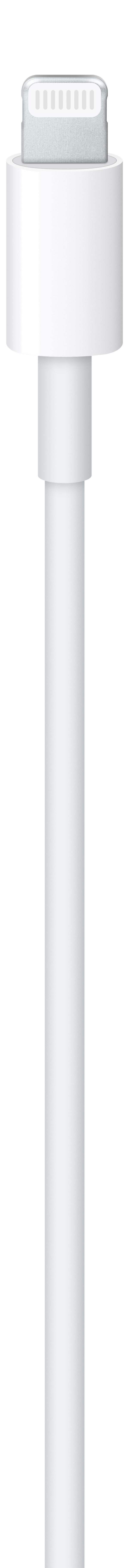 Apple USB-C to Lightning Cable (1m)