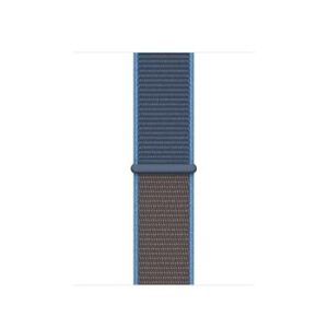 Apple 44mm Surf Blue Sport Loop